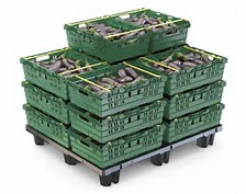 《食品周转箱选材大揭秘！这些要点助你守护食品安全与高效物流》